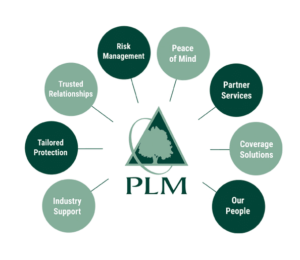 Top Insurance Providers Trusted Coverage Solutions